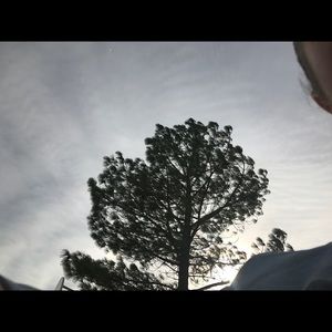 Meet your Posher, Sydney